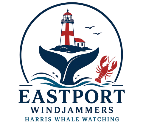 Logo with a lighthouse, whale tail, and lobster, text: Eastport Windjammers, Harris Whale Watching.