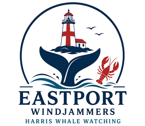 Logo with a lighthouse, whale tail, and lobster, text: Eastport Windjammers, Harris Whale Watching.