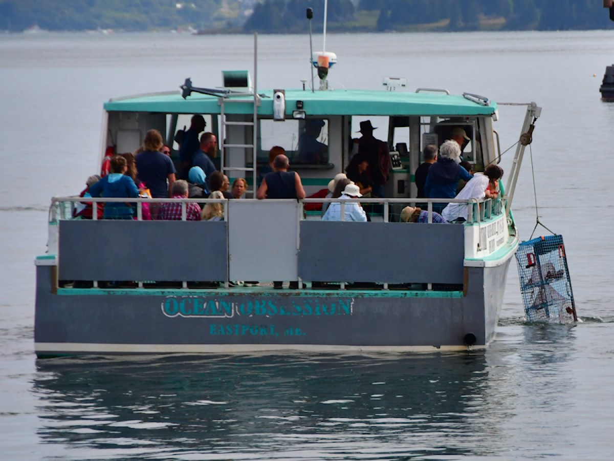 A boat with passengers on a calm water body, pulling up a lobster trap.