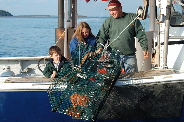Two adults and a child haul a lobster trap on a boat.